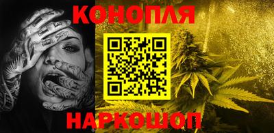 индика Будённовск