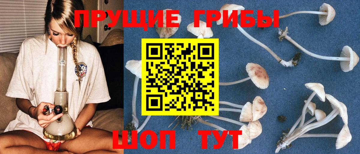 Псилоцибиновые грибы мицелий  Галлюциногенные грибы мицелий  Котлас  Вход с VPN 